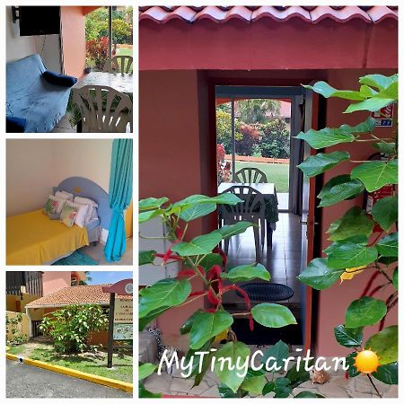 My Tiny Caritan- Petit Coin De Paradis- Bungalow De Vacances- Jardin, Plage, Piscine Attenante Sainte-Anne Εξωτερικό φωτογραφία